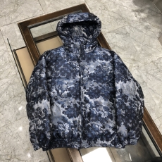 Louis Vuitton Down Jackets